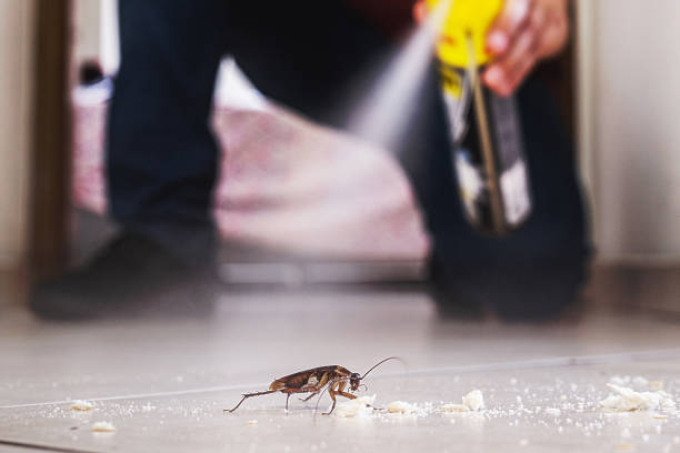 Best Cockroach Control Services  in USA